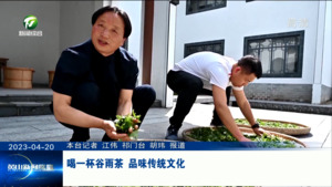 喝一杯谷雨茶 品味传统文化