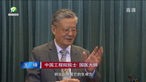 齐聚新安江畔 共话新安医学发展