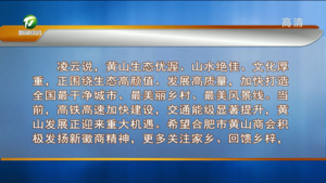 发挥商会优势 助力黄山发展 凌云与姚维铸举行工作会谈