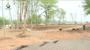 屯溪区：重点项目“大提速” 实现首季“开门红”