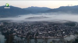 春见黄山 我市旅游市场迎来强势复苏
