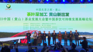 2023中国（黄山）茶业发展大会暨中国茶饮可持续发展高峰论坛在黄山区举办
