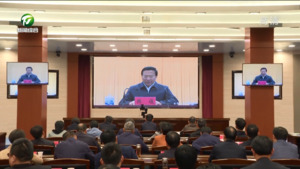 加快建设农业强省全面推进乡村振兴工作会议召开 凌云在省主会场出席会议并作交流发言