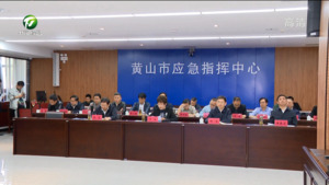 全省安全生产工作视频调度会召开 凌云在我市视频分会场出席