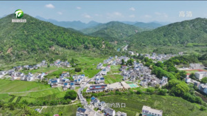桂国锋:贯彻“五微”理念 推进茶旅融合