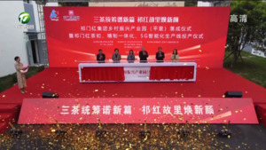 祁门红集团乡村振兴产业园建成投产