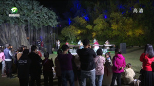 森林演奏会 假日新体验