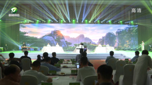 “皖美徽茶”品鉴交流会在合肥举办