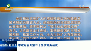 市政府召开第二十九次常务会议