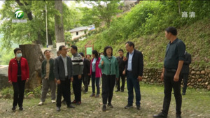 增强安徽文化归属感和软实力 省政协致公党界别委员来我市调研