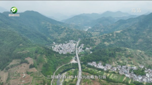 【和美乡村满天星——乡镇党委书记话“五微”】（8）江龙勇:推深做实“五微”行动  绘就三阳“新图景”