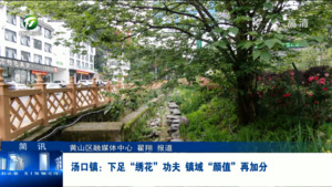 简讯：汤口镇：下足“绣花”功夫 镇域“颜值”再加分