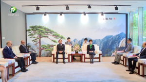 持续开展多元艺术交流活动 凌云与意大利嘉宾举行工作会谈