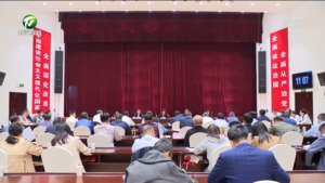 凌云在全市固定资产投资和重点项目建设推进会上强调 坚持项目为王 投资为上 聚焦重点 统筹推进 为高质量发展提供坚实支撑