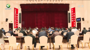 全市文旅营销促消费工作专题会商会召开