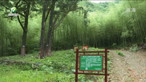 黄山九龙峰：创新保护模式  探索”共建 共赢 共保 共享”新路