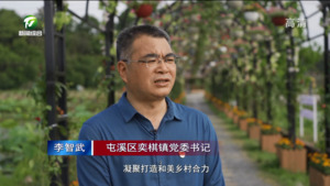 【和美乡村满天星——乡镇党委书记话“五微”】(9)李智武：农文旅齐绘“五微”和美乡村盛景