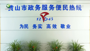 市12345政务服务便民热线:为民解忧暖民心（下）