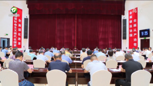 凌云在全市总林长暨松材线虫病防治工作会议上强调 树牢绿水青山就是金山银山的理念 让森林成为兴村富民的“绿色宝库”