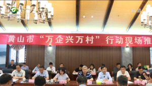 我市召开“万企兴万村”行动现场推进会
