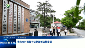我市乡村两级书记赴湖州体悟实训