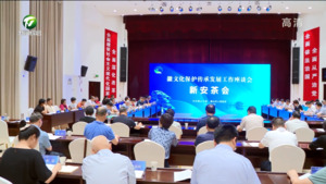 市委市政府召开徽文化保护传承发展工作座谈会•新安茶会 推动徽文化创造性转化创新性发展 全面推进文化强市建设 凌云主持会议并讲话