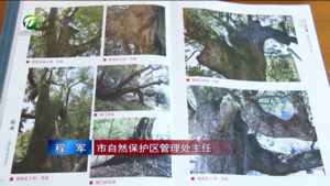 退休干部金炳铨捐赠《徽魂 徽州古树写真》一书