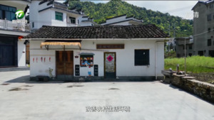 【和美乡村满天星——乡镇党委书记话“五微”】（10）袁慧丽: 诗画岭南话“五微”