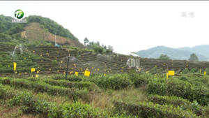 全市乡村振兴现场观摩活动举行