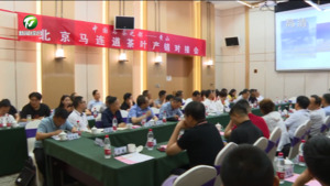 中国名茶之都--黄山 北京马连道茶叶产销对接会举办