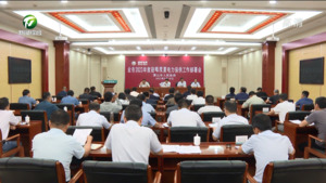 全市迎峰度夏电力保供动员部署会要求 全力以赴保障电力安全可靠供应
