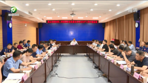 市消防安全委员会二季度联席会议暨全市安全生产工作专题会议召开