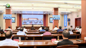 全省新能源汽车产业集群建设推进大会召开 凌云 肖善武 路海燕等在我市分会场出席
