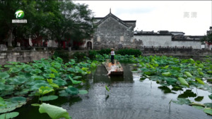 呈坎：千年古村“荷”其美