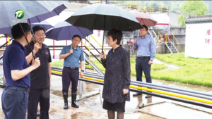 凌云赴区县督查防汛和燃气安全工作