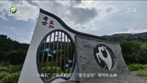 潘慧群：坚持“五微”打造 建设红绿融合新富溪
