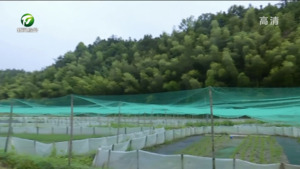 简讯:休宁县溪口镇：“稻+蛙”立体生态种养殖