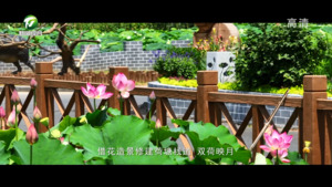 百名村官话振兴：徽州区东山村村
