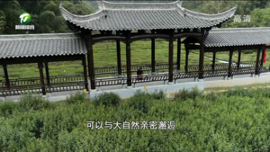 百名村官话振兴：休宁县茗洲村