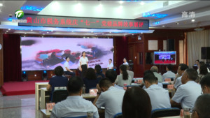 市税务局开展庆“七一”表彰大会暨系统党建品牌故事展评活动