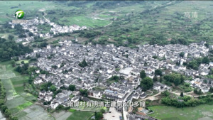 百名村官话振兴：黟县南屏村