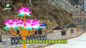 【百名村官话振兴】歙县荷花形村
