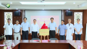 王亿平江淮名医工作站在我市成立