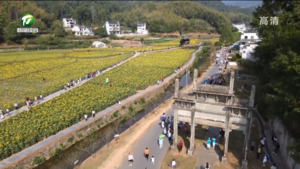 “村落徽州”唤醒乡村“沉睡资本” 探索古村落保护的绿色金融模式（三）