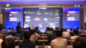 休宁县举办科创企业产业链建设与高质量发展论坛