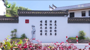 田海英：“和”携“五微”看渔亭 （和美乡村满天星——乡镇党委书记话“五微”）