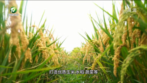 百名村官话振兴：屯溪区江村