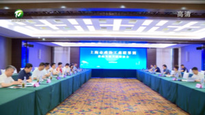 链接优质资源 拓展合作领域  凌云与上海市政协工商联界别委员举行工作会谈