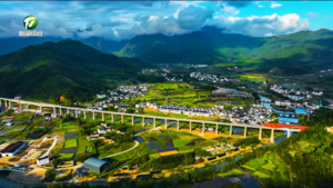 方文辉：聚焦“五个振兴”走好“六个之路” 加快建设宜居宜业和美乡村