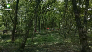 古村清凉游火热 民宿预订量大增